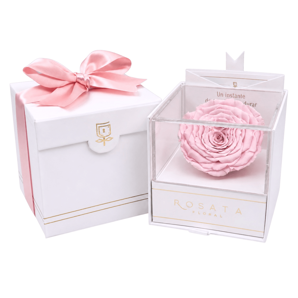 Everty White - arreglo de rosas - Rosata Floral