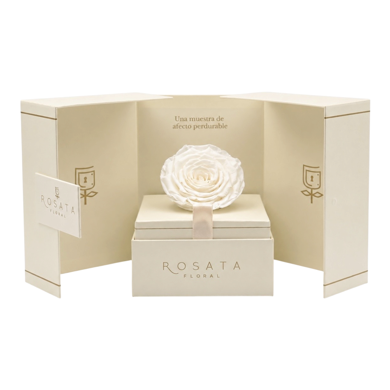 Eternal Champagne Blanca