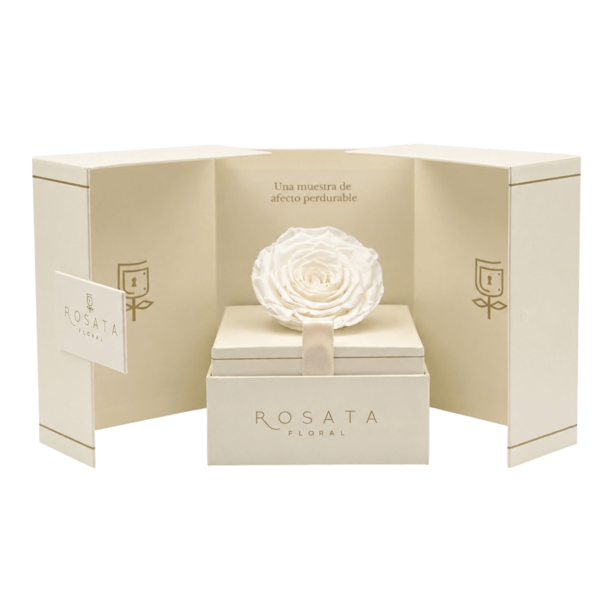 Eternal Champagne Blanca - arreglo de rosas - Rosata Floral