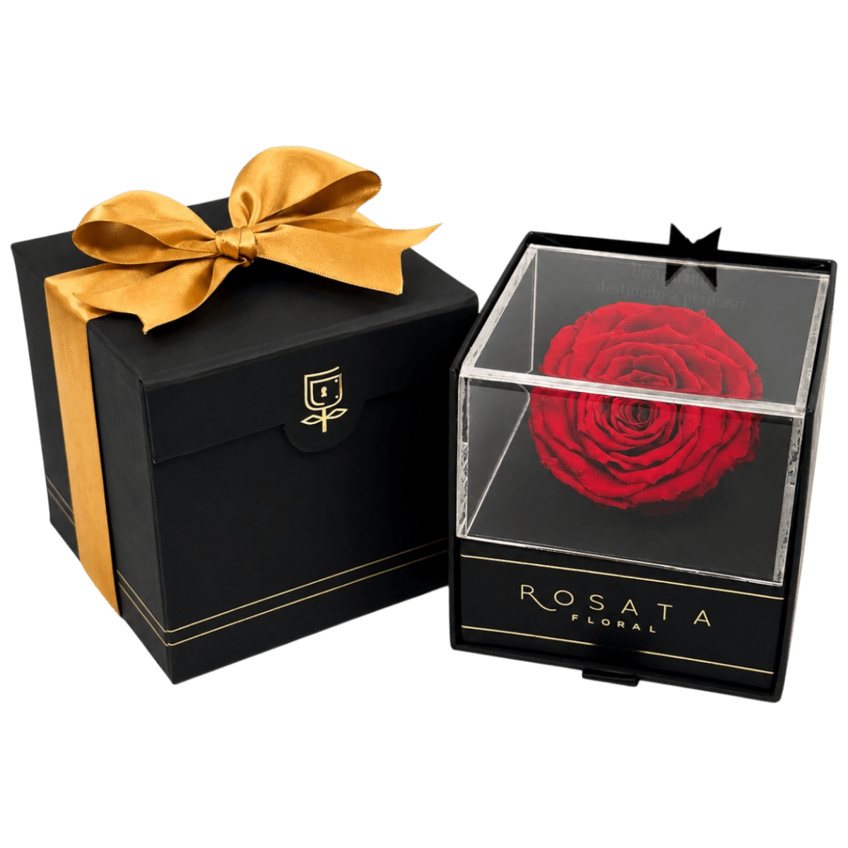 Everty - arreglo de rosas - Rosata Floral