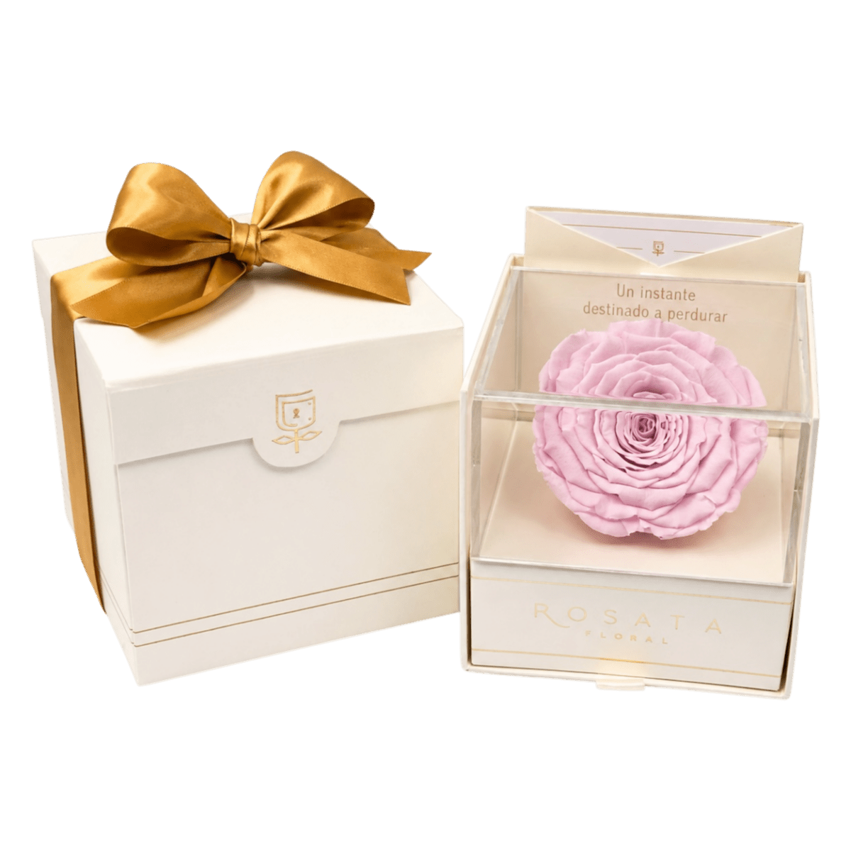 Everty Champagne Rosa - arreglo de rosas - Rosata Floral