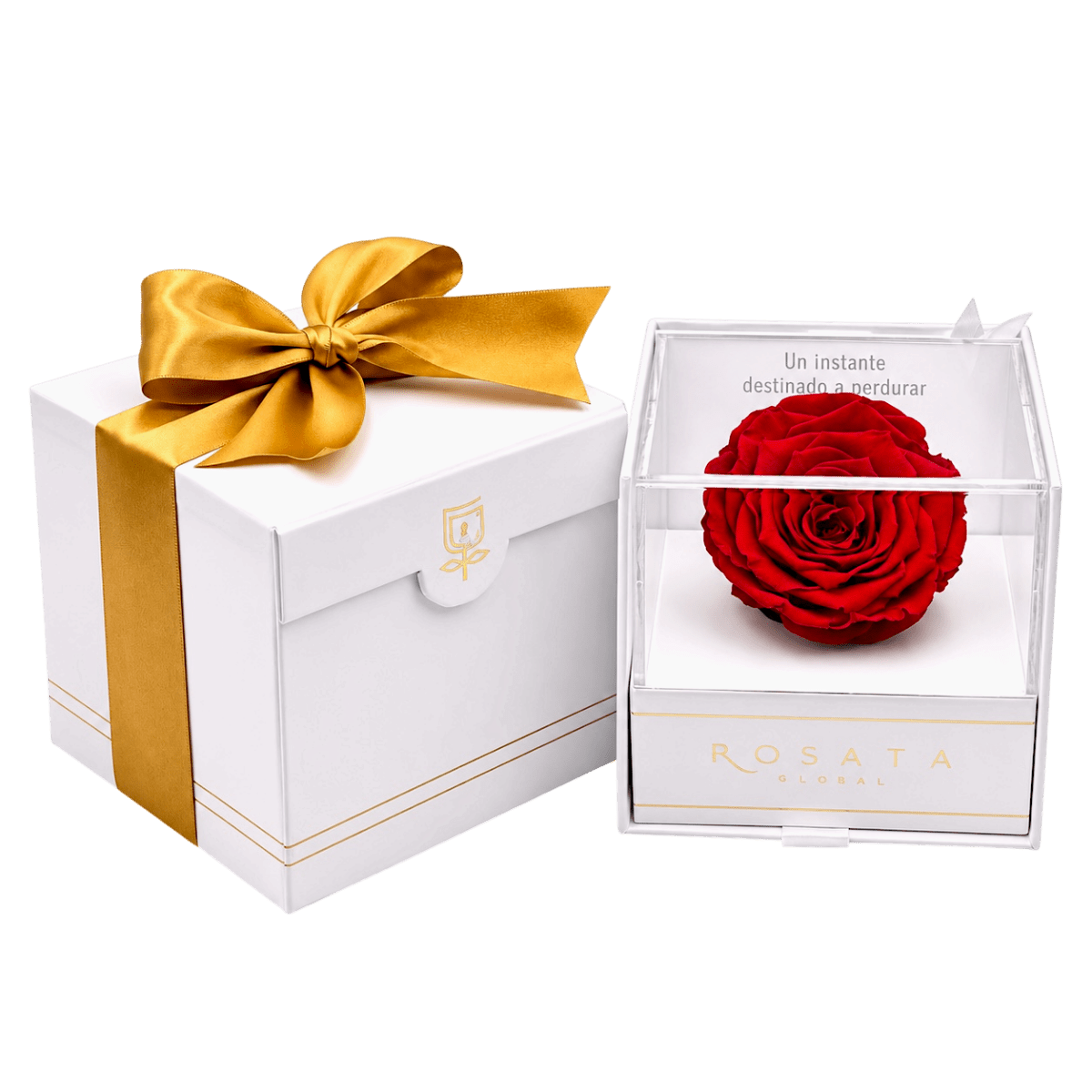 Everty White - arreglo de rosas - Rosata Floral