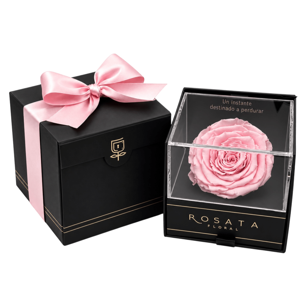 Everty Rosa - arreglo de rosas - Rosata Floral