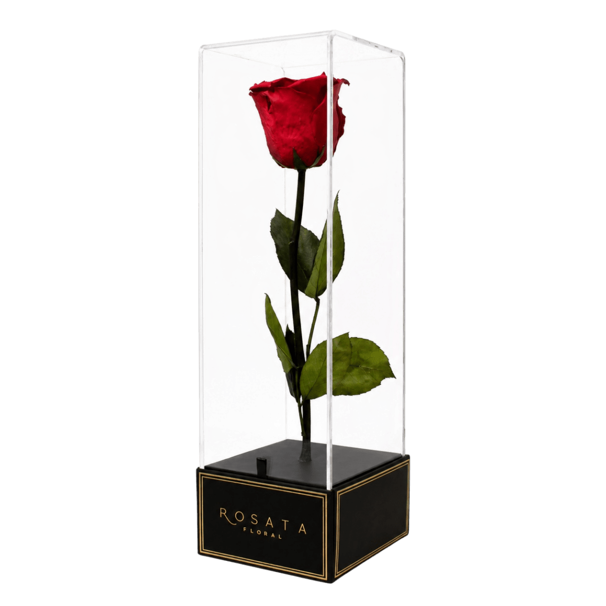 Imperiora - arreglo de rosas - Rosata Floral