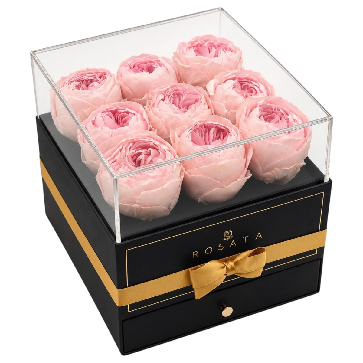 Harmonia | 9 Peonias
