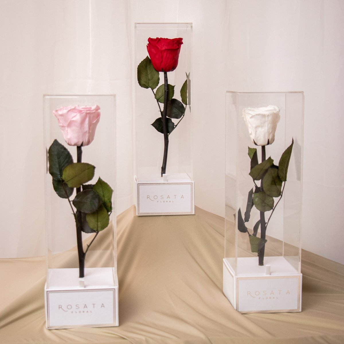 Imperiora White - arreglo de rosas - Rosata Floral