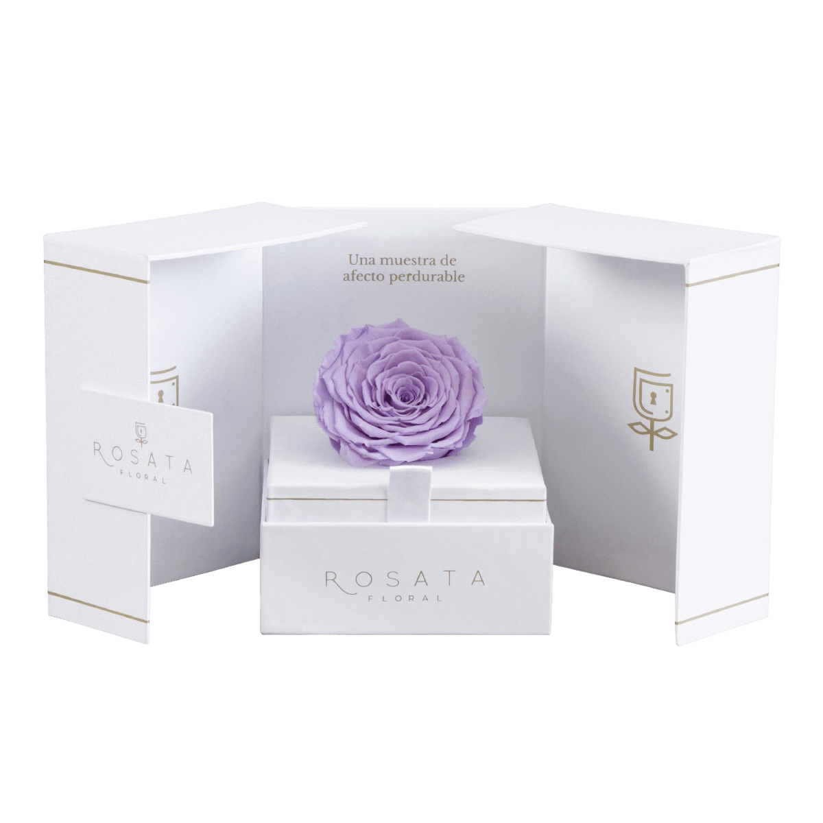 Eternal White Lila - arreglo de rosas - Rosata Floral