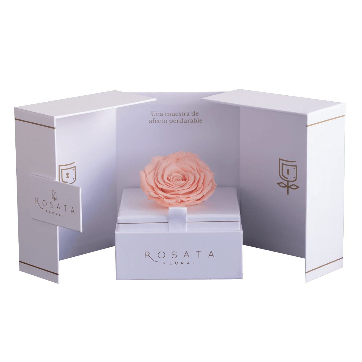 Eternal White Durazno - arreglo de rosas - Rosata Floral