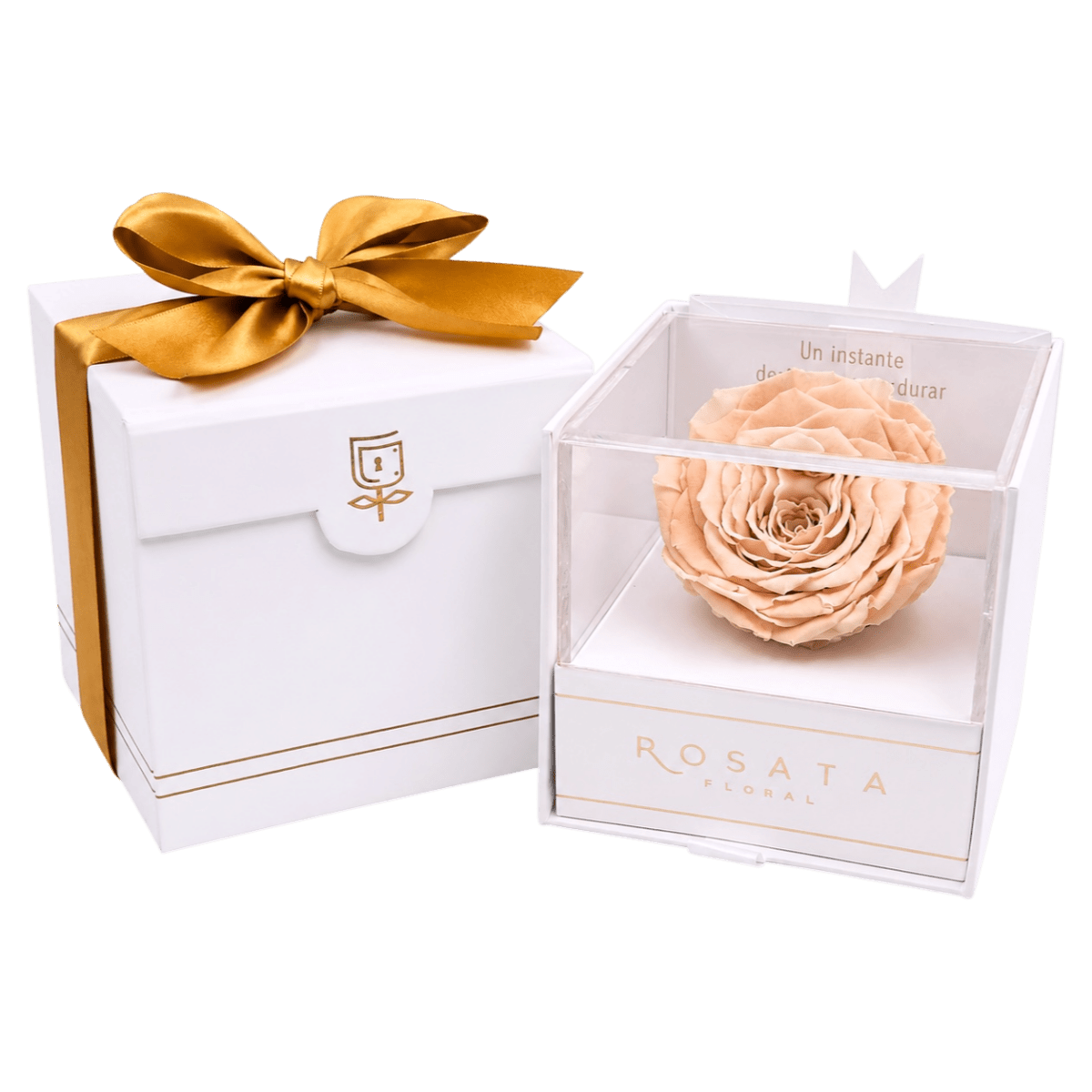 Everty White - arreglo de rosas - Rosata Floral