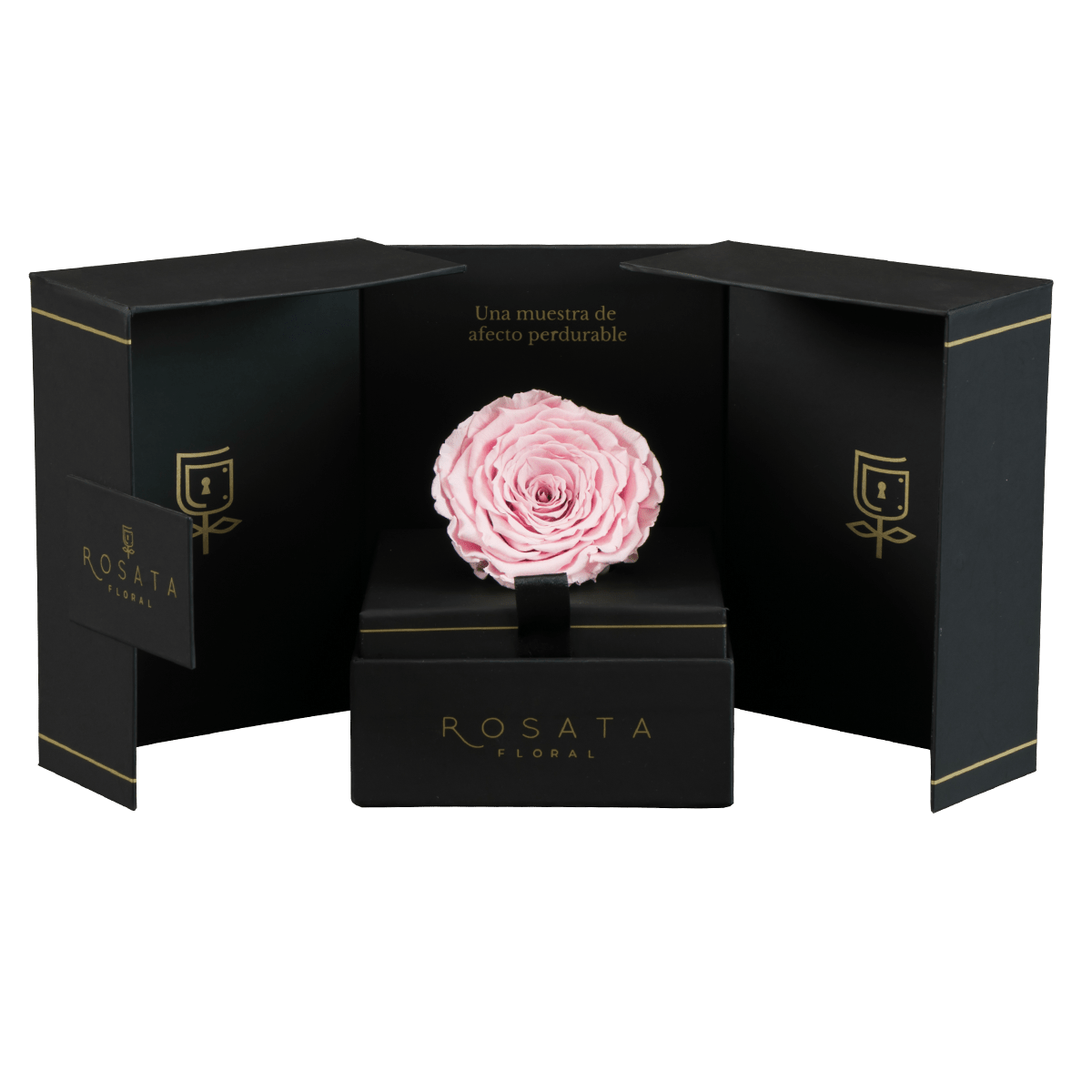 Eternal - arreglo de rosas - Rosata Floral