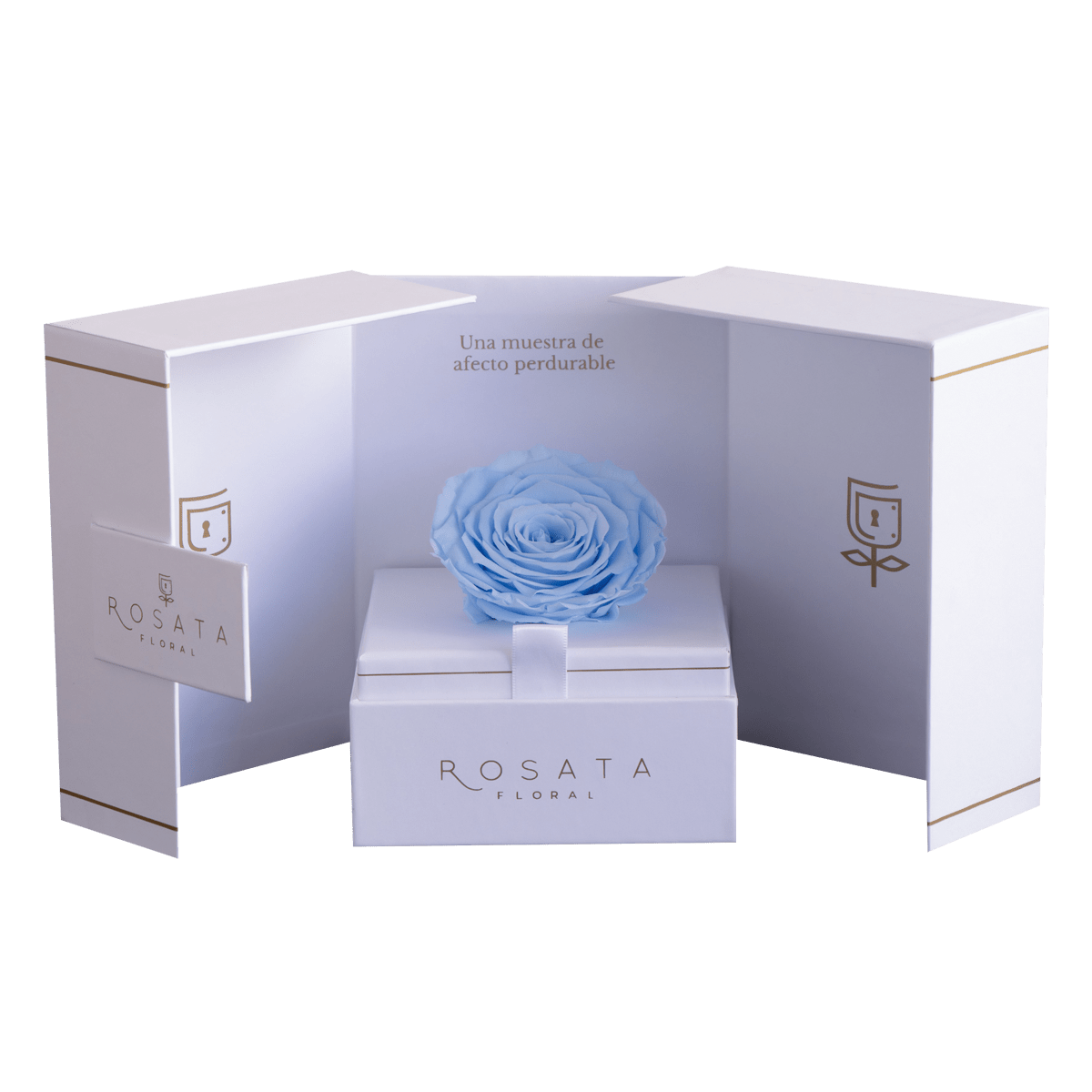 Eternal White - arreglo de rosas - Rosata Floral