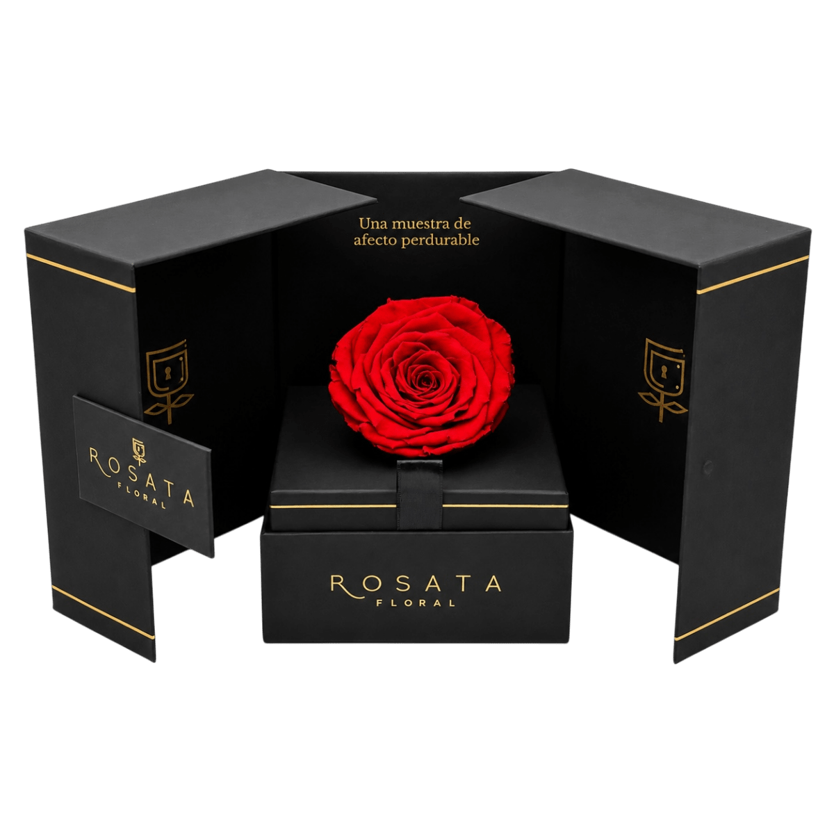 Eternal - arreglo de rosas - Rosata Floral