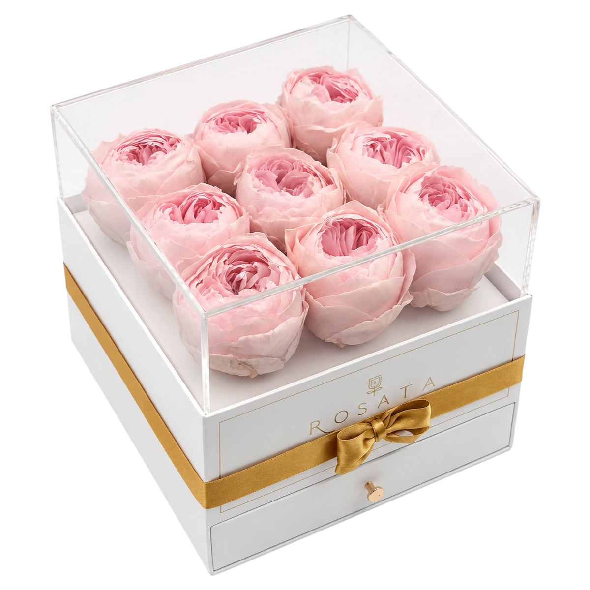 Harmonia White | 9 Peonias