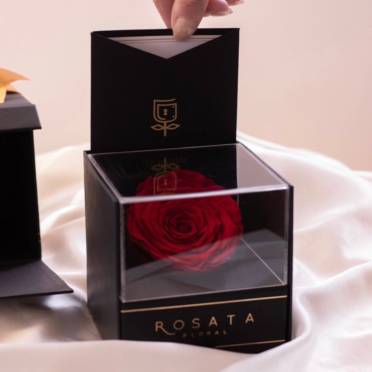 Everty - arreglo de rosas - Rosata Floral