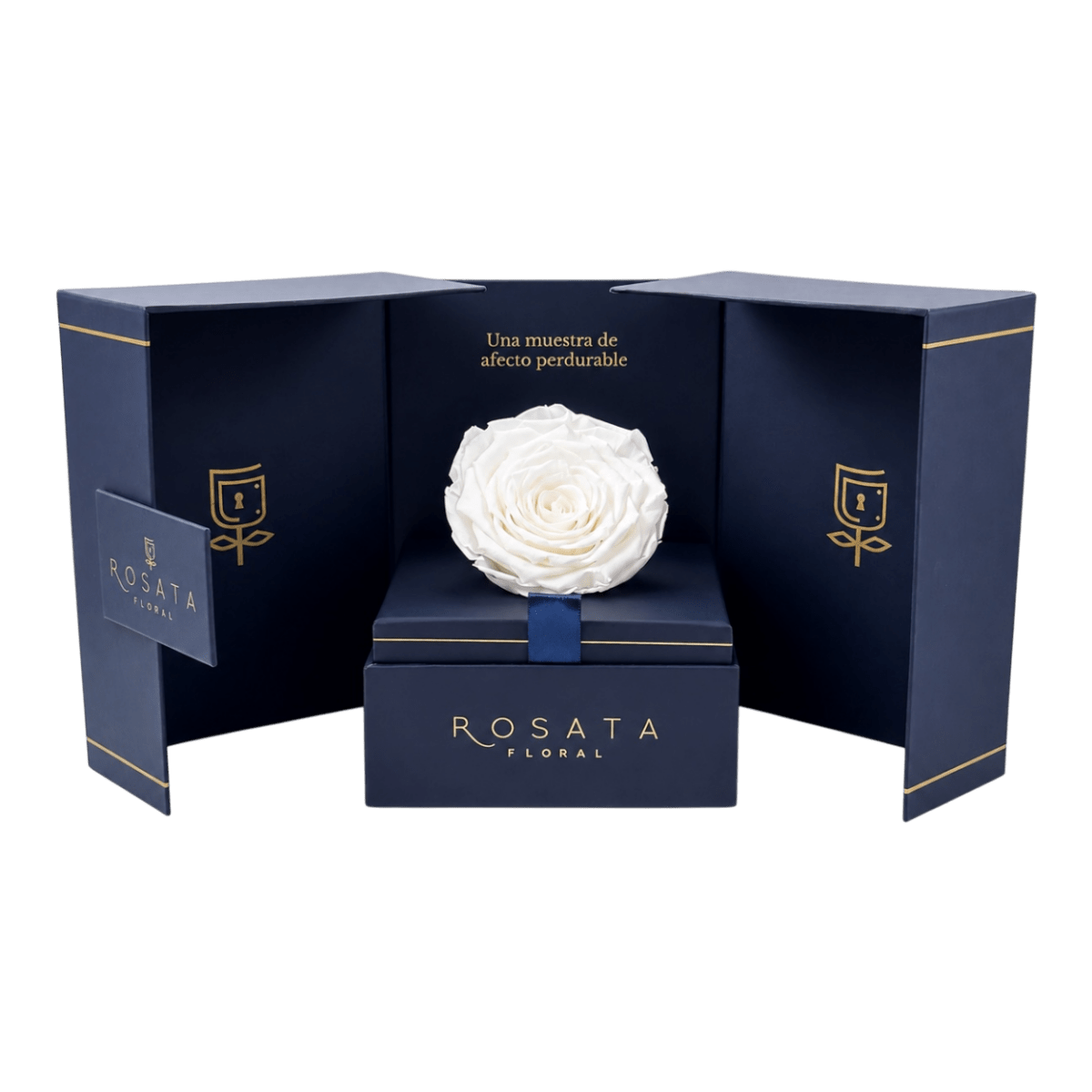 Eternal Saphiro - arreglo de rosas - Rosata Floral