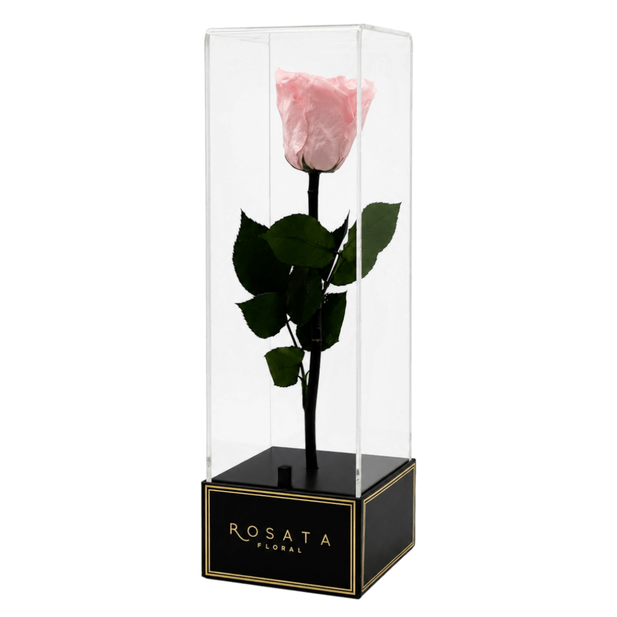 Imperiora Rosa - arreglo de rosas - Rosata Floral