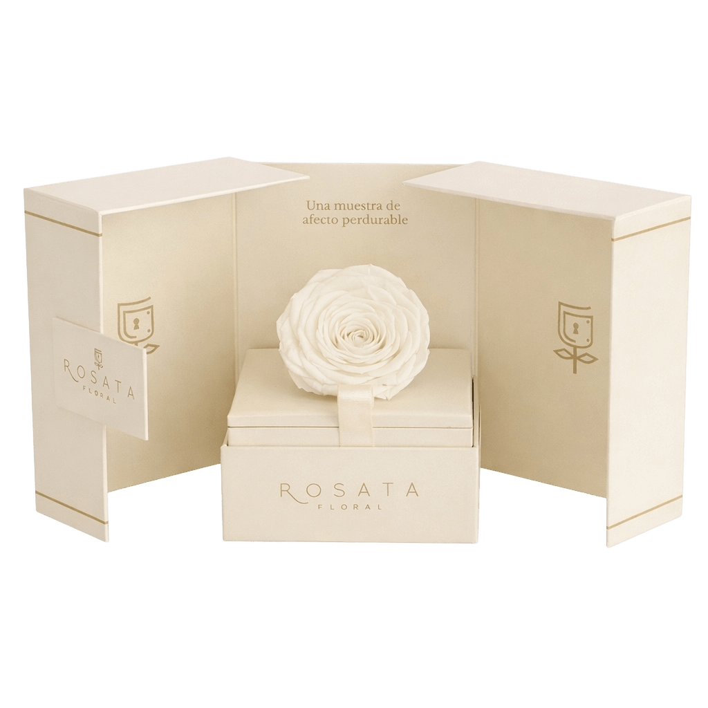 Eternal Champagne Blanca - arreglo de rosas - Rosata Floral