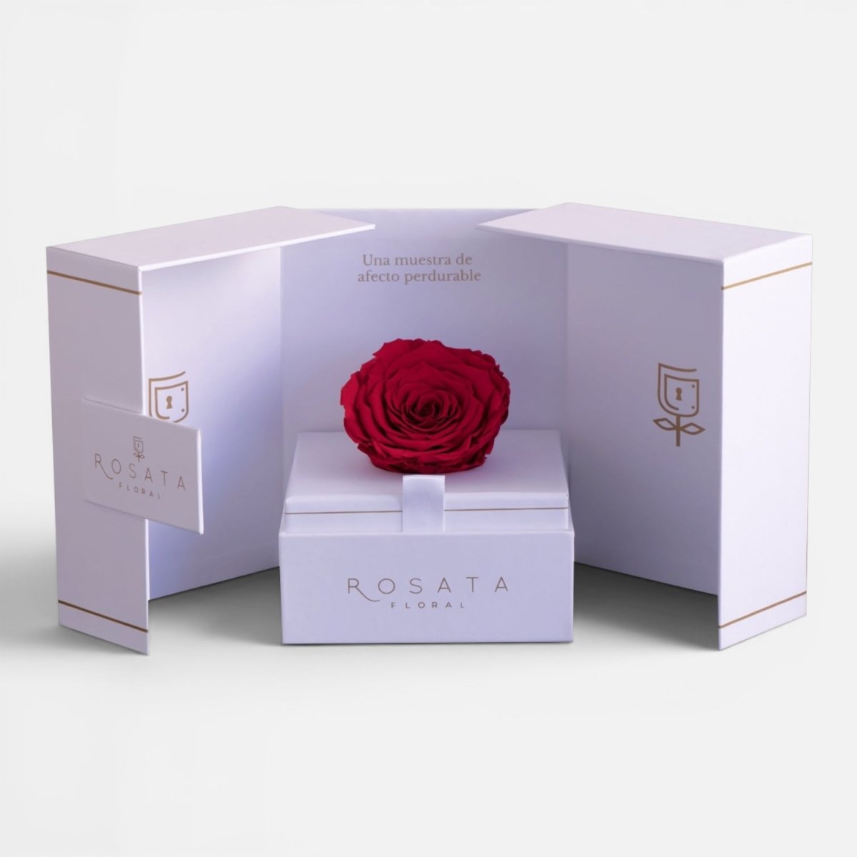 Eternal White - arreglo de rosas - Rosata Floral