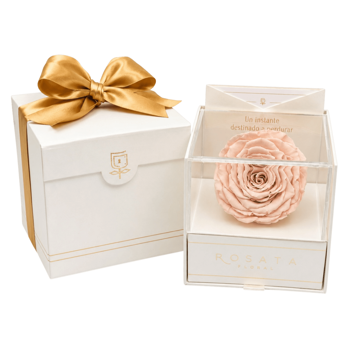 Everty Champagne Durazno - arreglo de rosas - Rosata Floral
