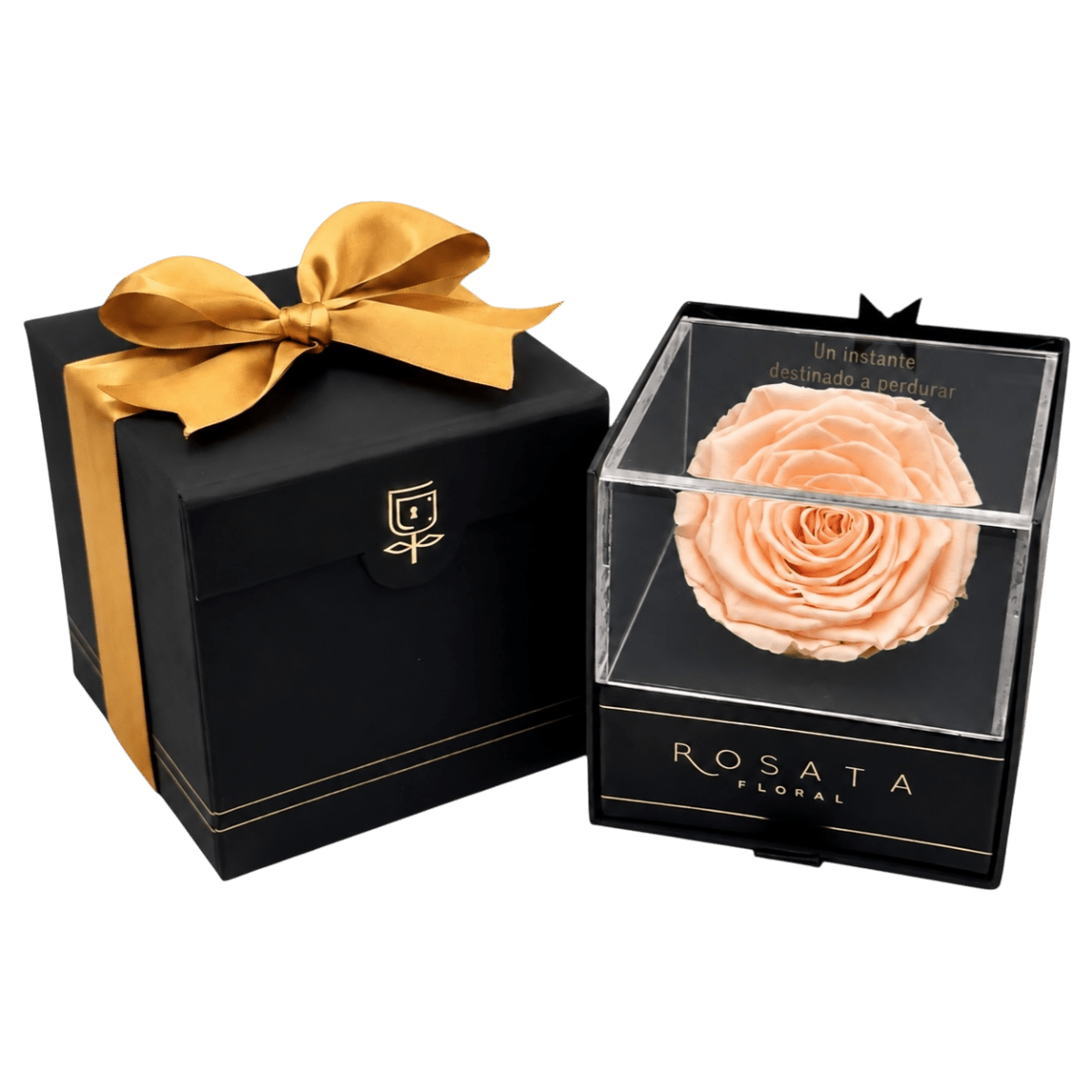 Everty - arreglo de rosas - Rosata Floral
