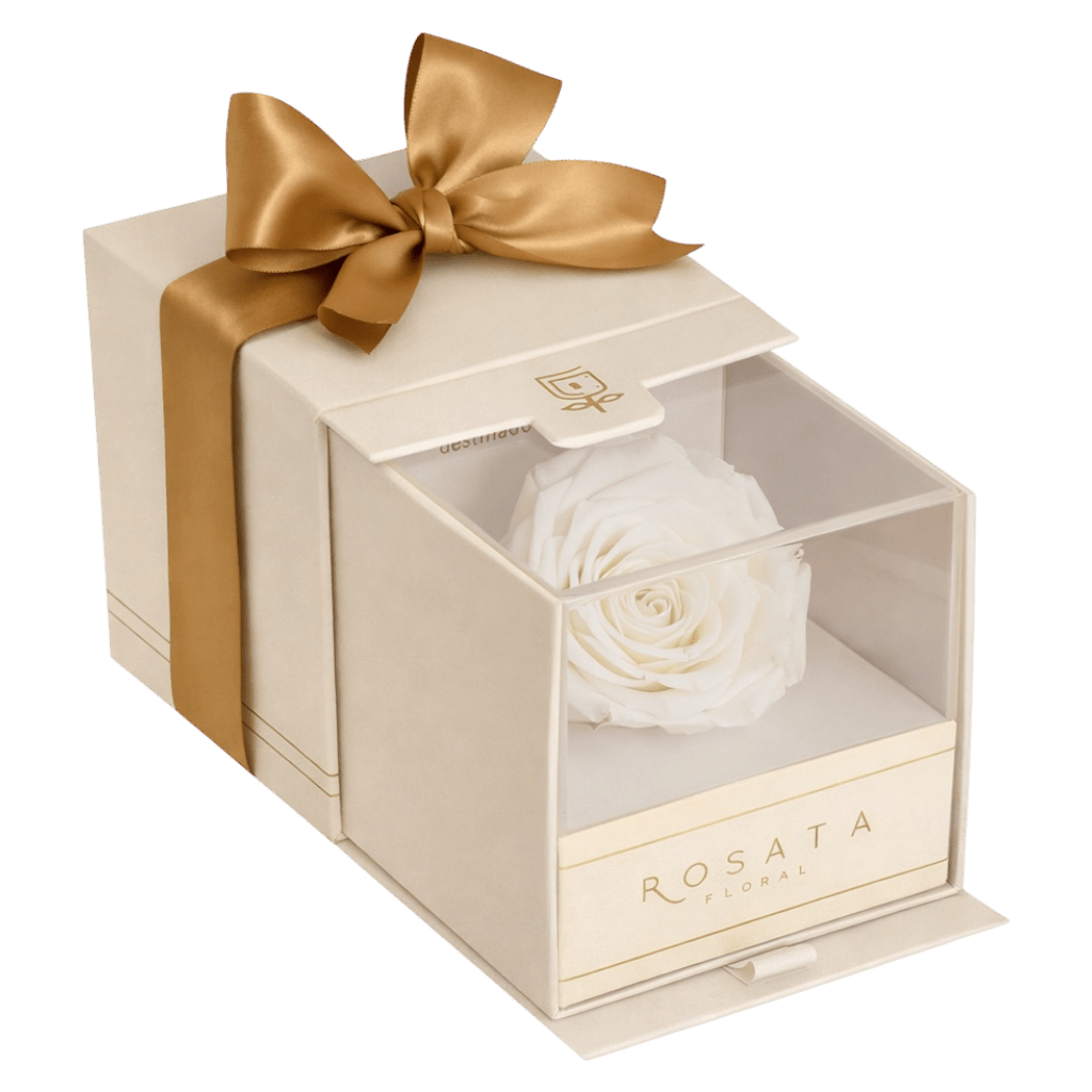 Everty Champagne Blanca - arreglo de rosas - Rosata Floral