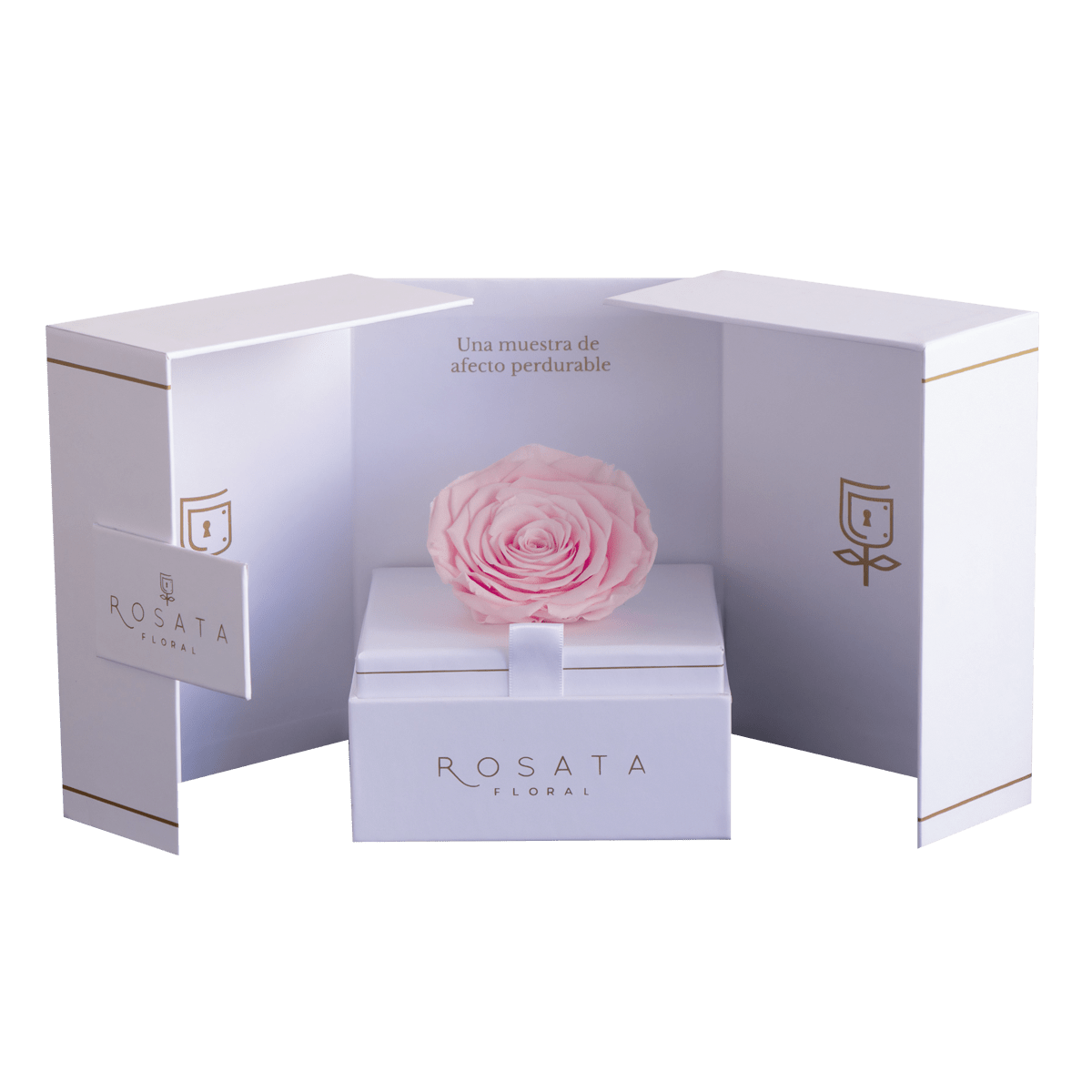 Eternal White - arreglo de rosas - Rosata Floral