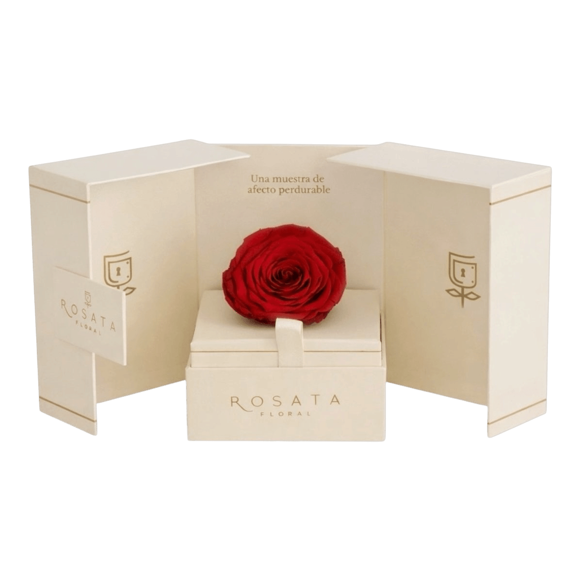 Eternal Champagne - arreglo de rosas - Rosata Floral