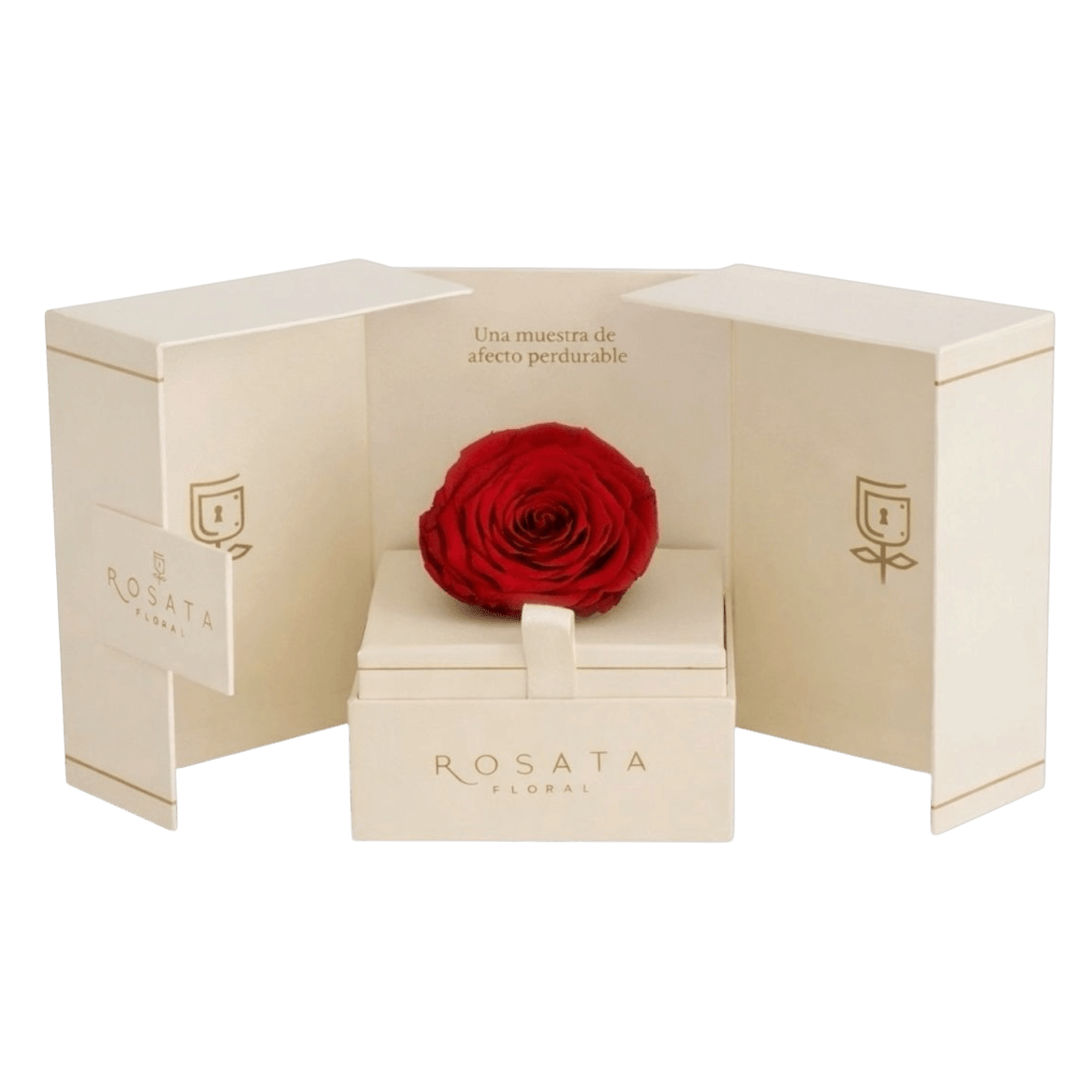 Eternal Champagne - arreglo de rosas - Rosata Floral
