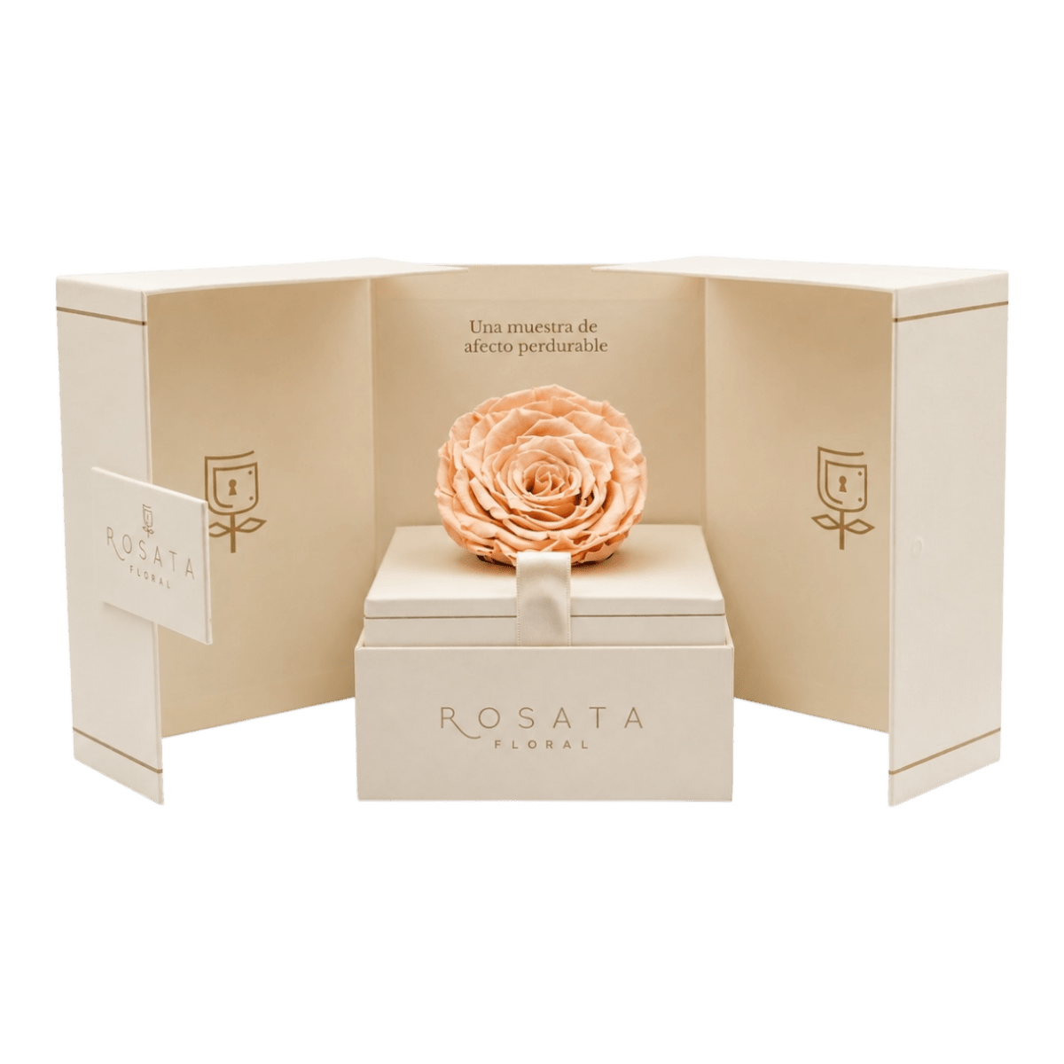 Eternal Champagne - arreglo de rosas - Rosata Floral