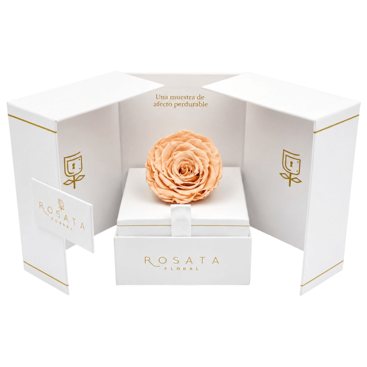 Eternal White - arreglo de rosas - Rosata Floral