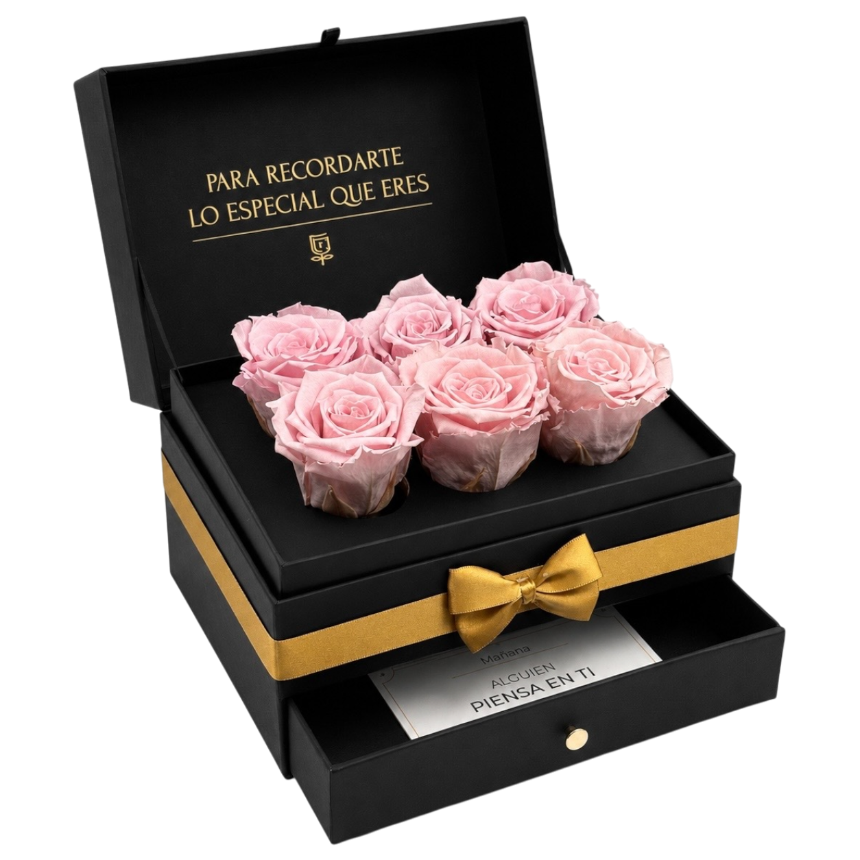 Cofret | 6 Rosas