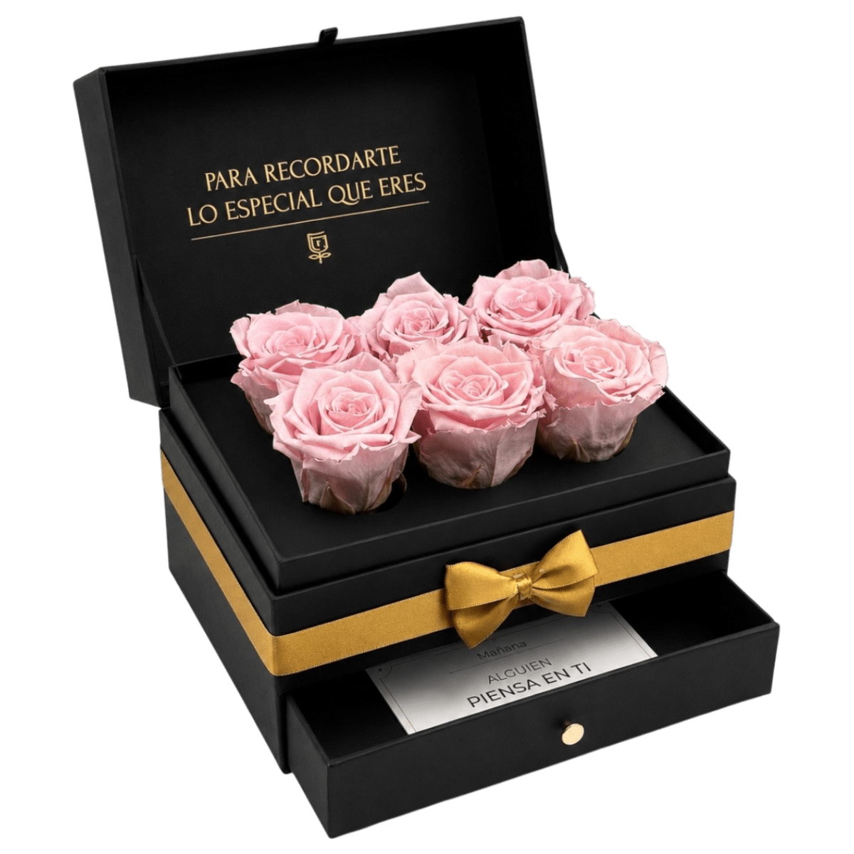 Cofret | 6 Rosas - arreglo de rosas - Rosata Floral