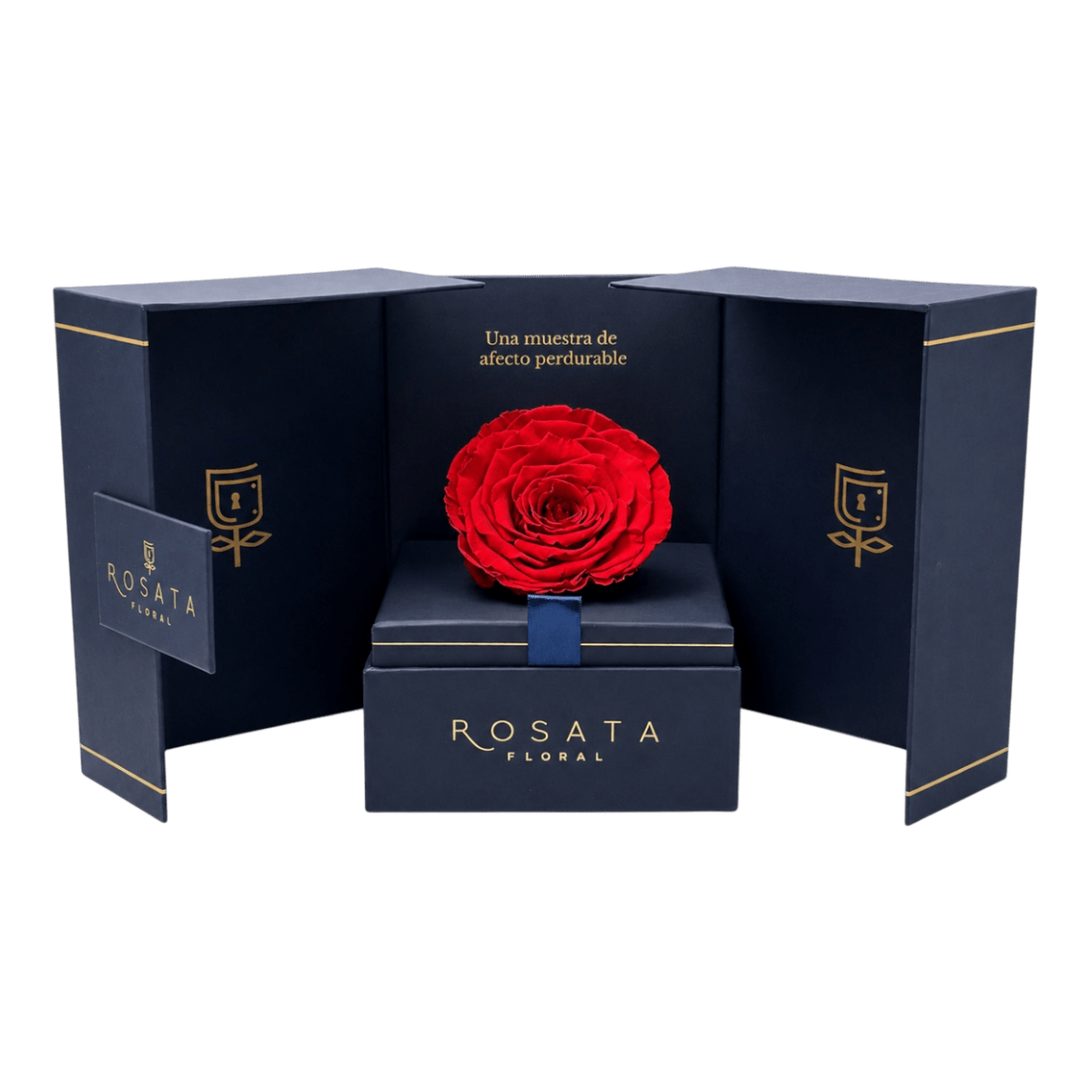 Eternal Saphiro - arreglo de rosas - Rosata Floral