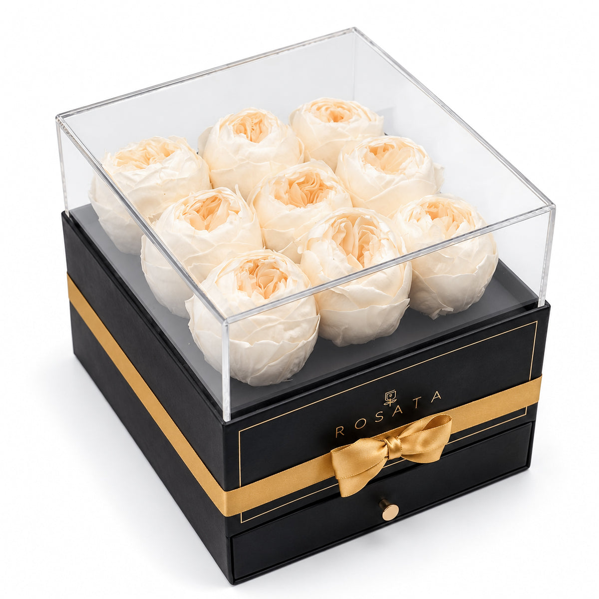 Harmonia | 9 Peonias