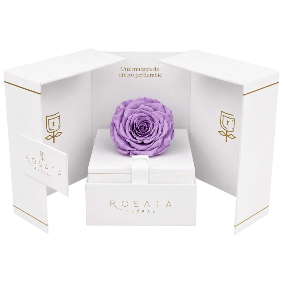 Eternal White - arreglo de rosas - Rosata Floral