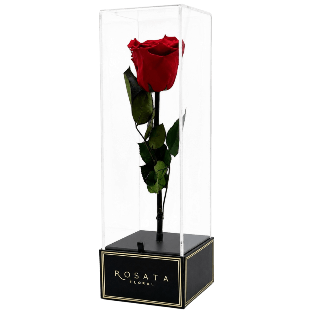 Imperiora - arreglo de rosas - Rosata Floral