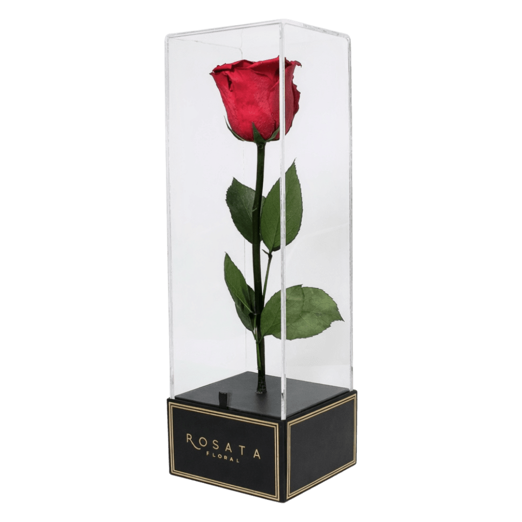 Imperiora - arreglo de rosas - Rosata Floral