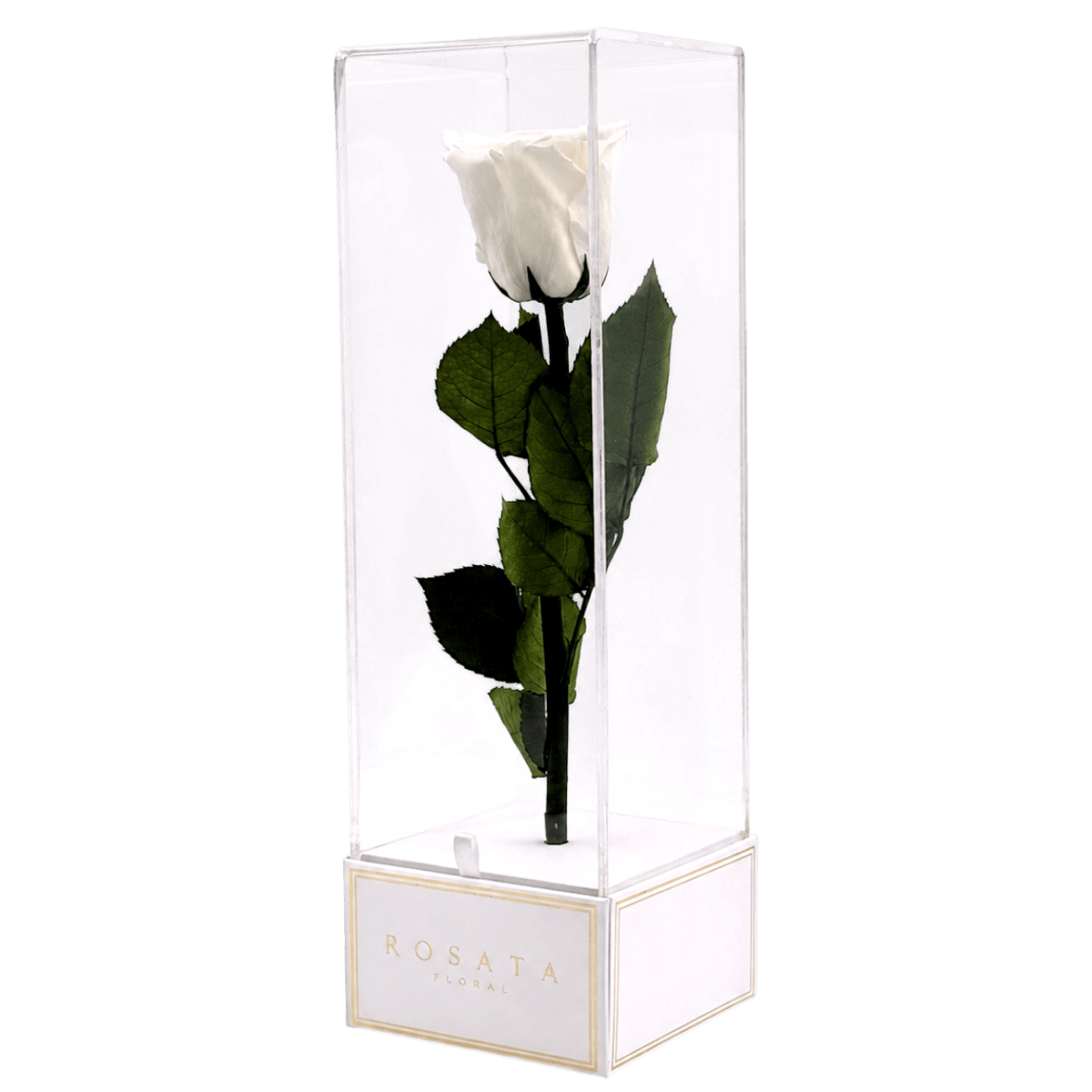 Imperiora White Blanca - arreglo de rosas - Rosata Floral