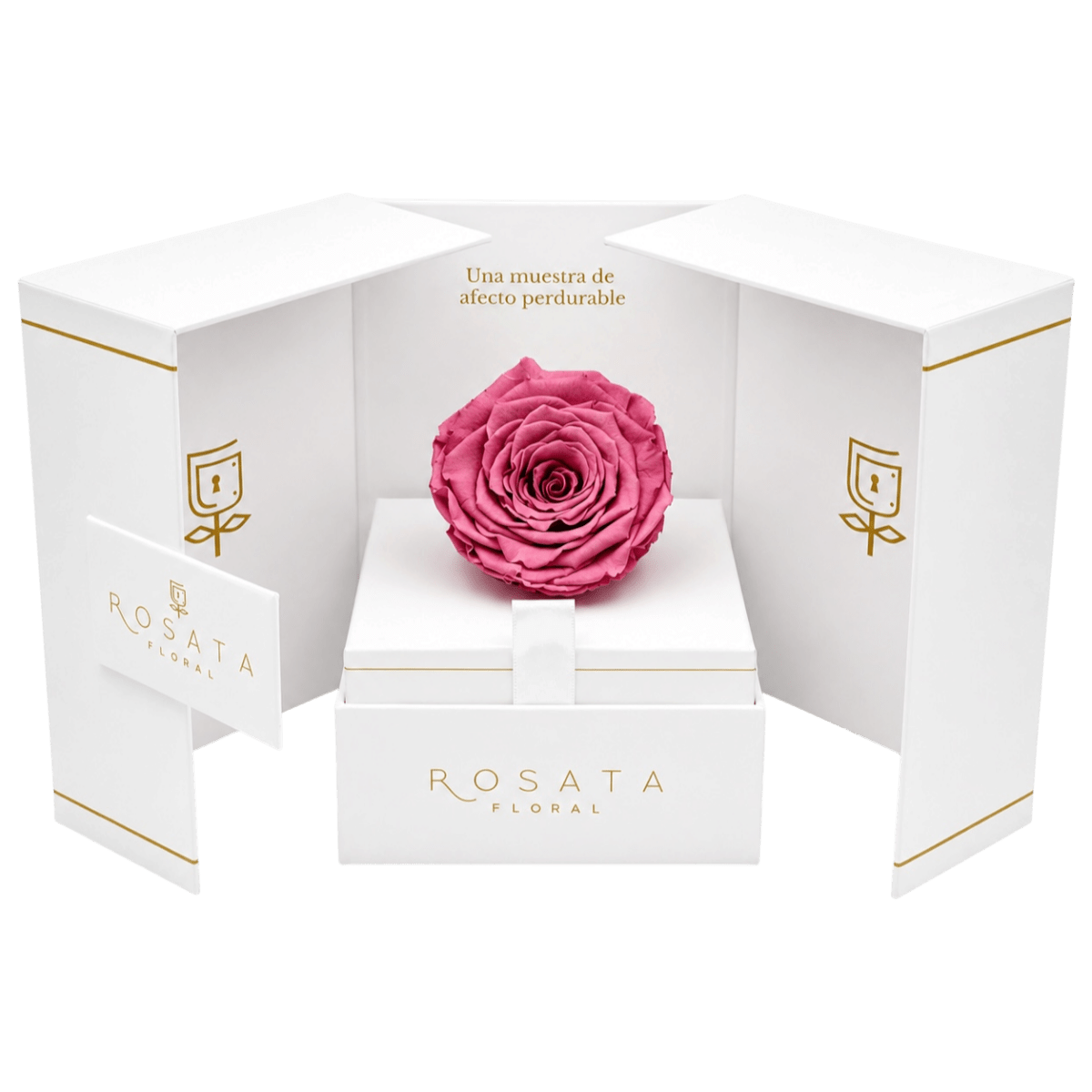 Eternal White - arreglo de rosas - Rosata Floral