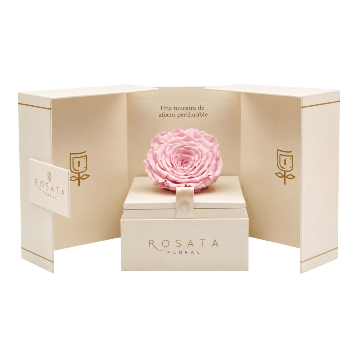 Eternal Champagne Rosa - arreglo de rosas - Rosata Floral