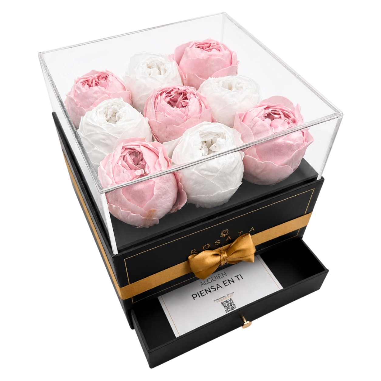 Harmonia | 9 Peonias