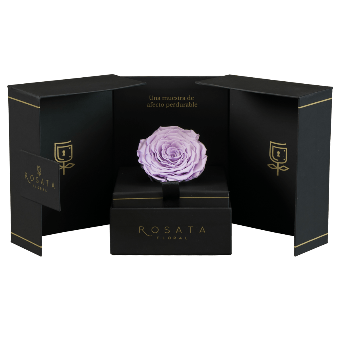Eternal - arreglo de rosas - Rosata Floral