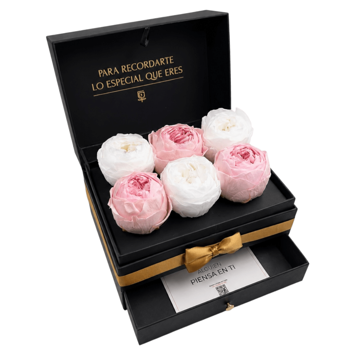 Cofret | 6 Peonias - arreglo de rosas - Rosata Floral