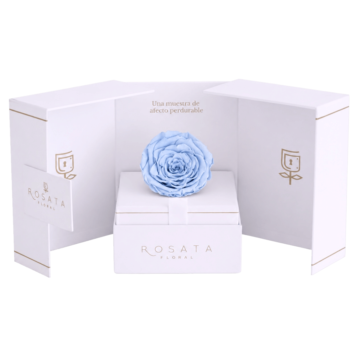 Eternal White - arreglo de rosas - Rosata Floral