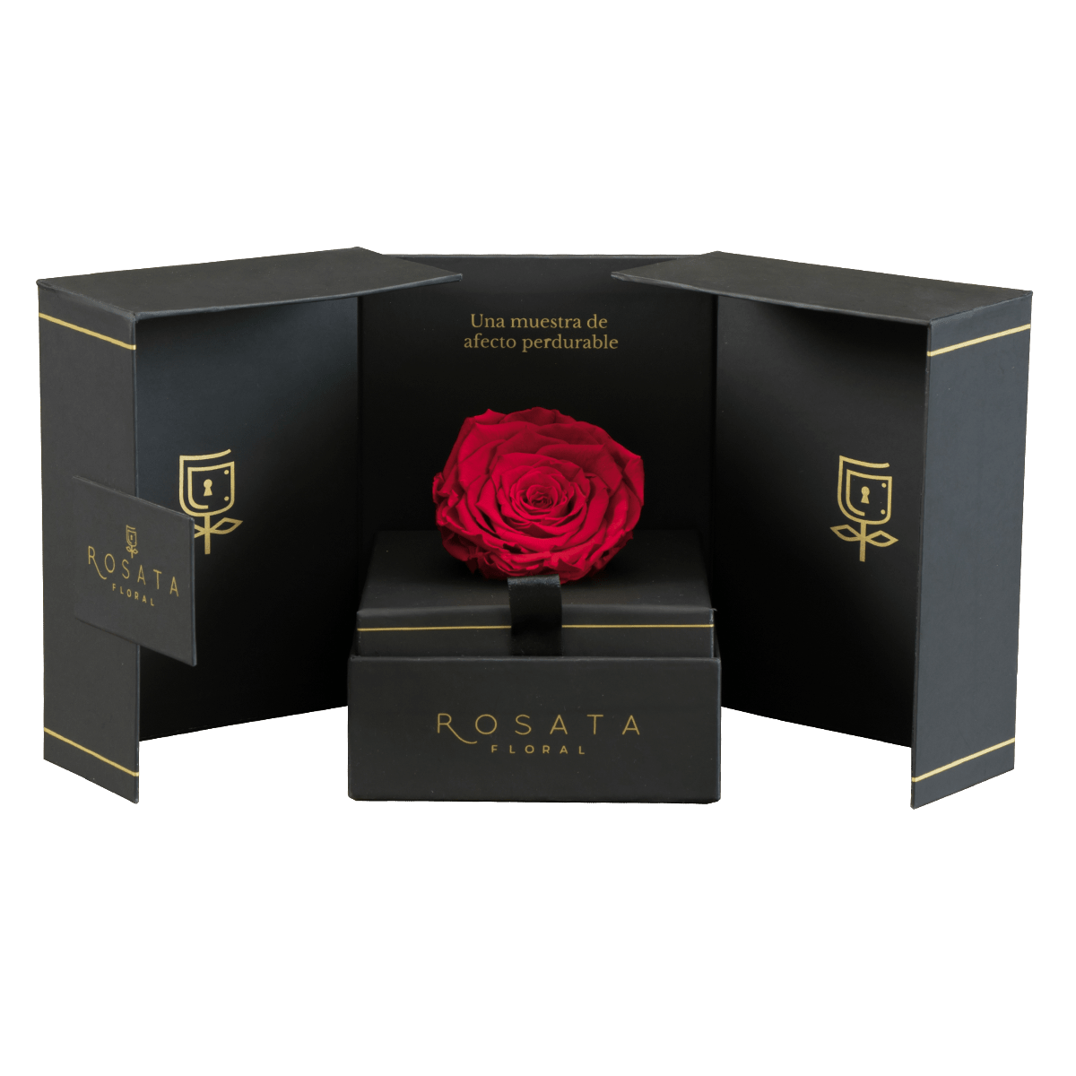 Eternal - arreglo de rosas - Rosata Floral