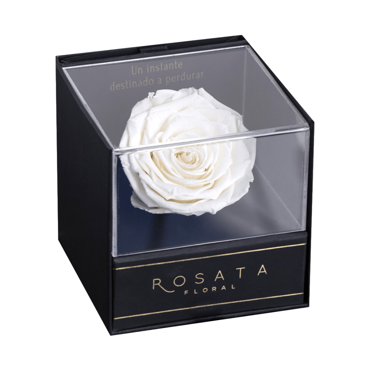 Everty Blanca - arreglo de rosas - Rosata Floral