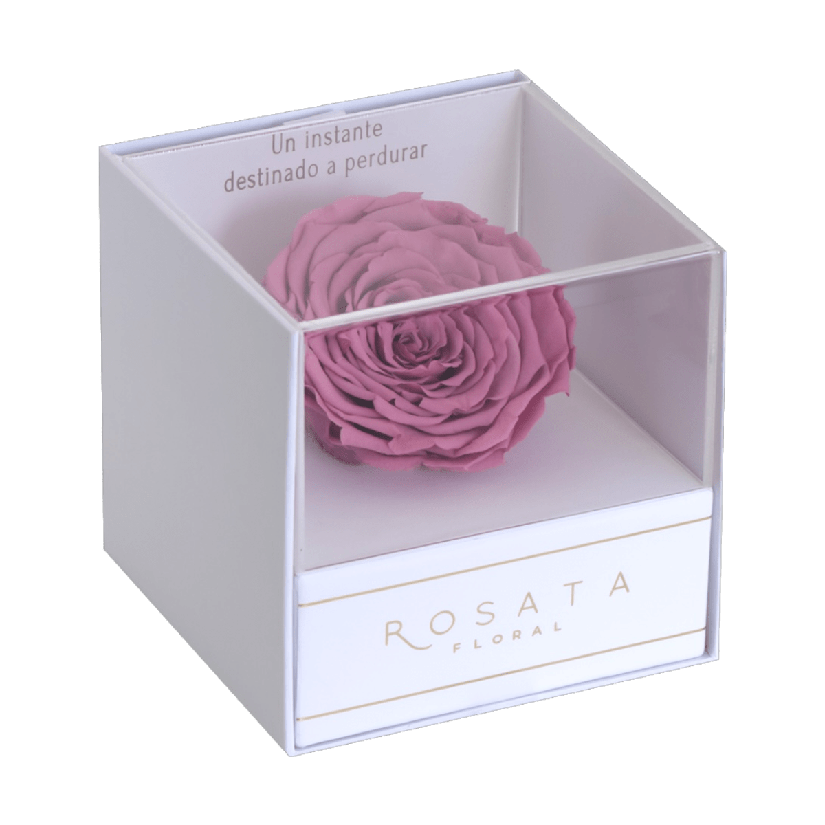 Everty White Fucsia - arreglo de rosas - Rosata Floral