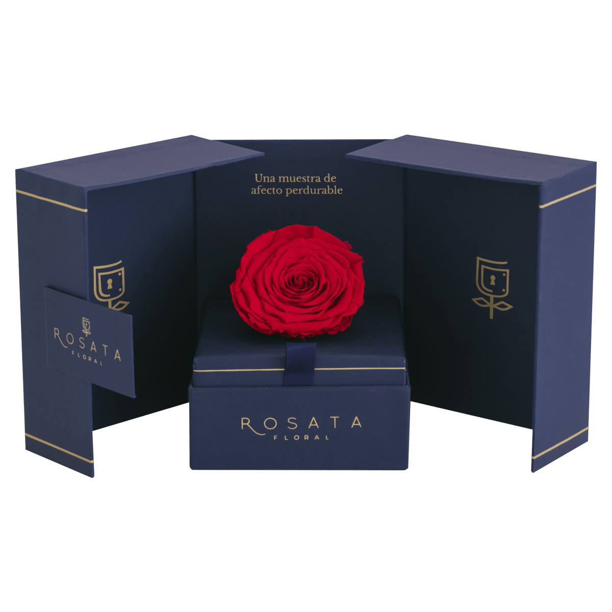 Eternal Saphiro - arreglo de rosas - Rosata Floral