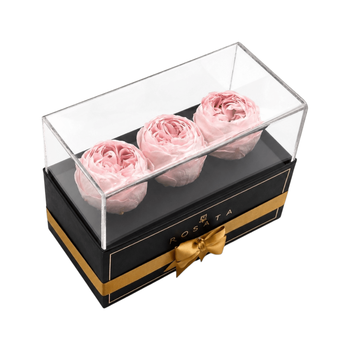 Harmonia - 3 Peonias Eternas - arreglo de rosas - Rosata Floral