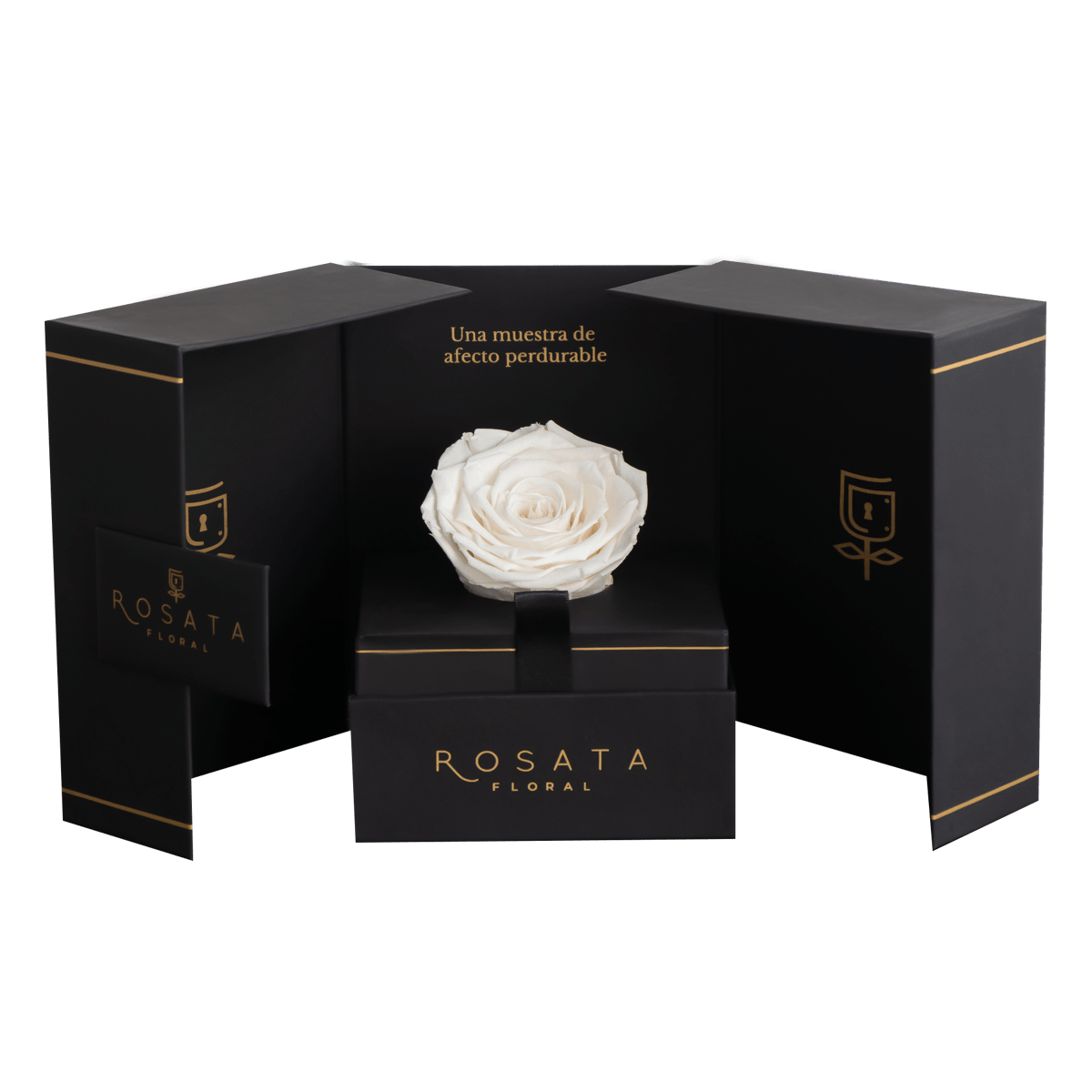 Eternal Blanca - arreglo de rosas - Rosata Floral